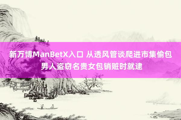 新万博ManBetX入口 从透风管谈爬进市集偷包 男人盗窃名贵女包销赃时就逮