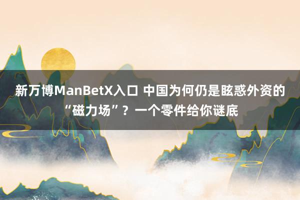 新万博ManBetX入口 中国为何仍是眩惑外资的“磁力场”？一个零件给你谜底