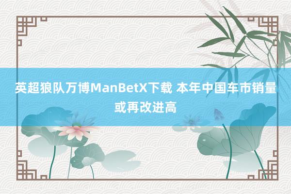 英超狼队万博ManBetX下载 本年中国车市销量或再改进高