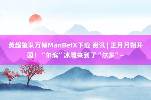 英超狼队万博ManBetX下载 资讯 | 正月月朔开园！“尔滨”冰雕来到了“尔多”~