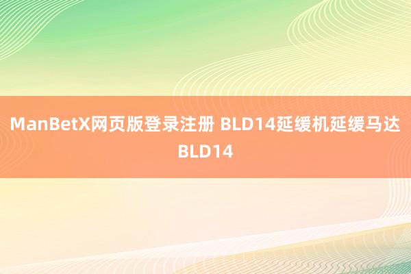 ManBetX网页版登录注册 BLD14延缓机延缓马达BLD14