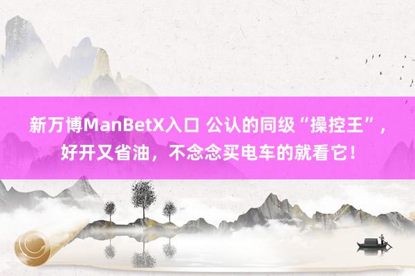 新万博ManBetX入口 公认的同级“操控王”，好开又省油，不念念买电车的就看它！