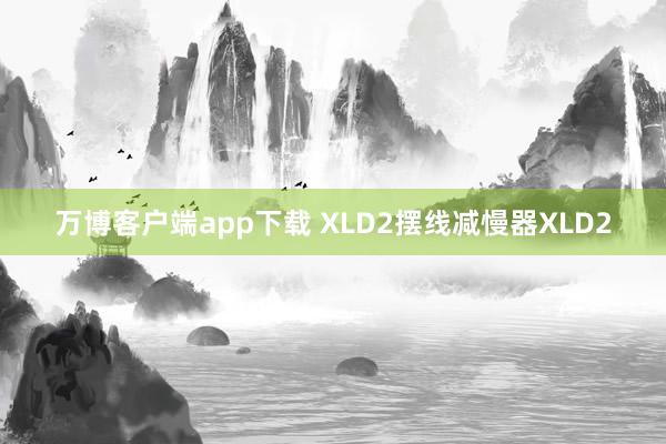 万博客户端app下载 XLD2摆线减慢器XLD2