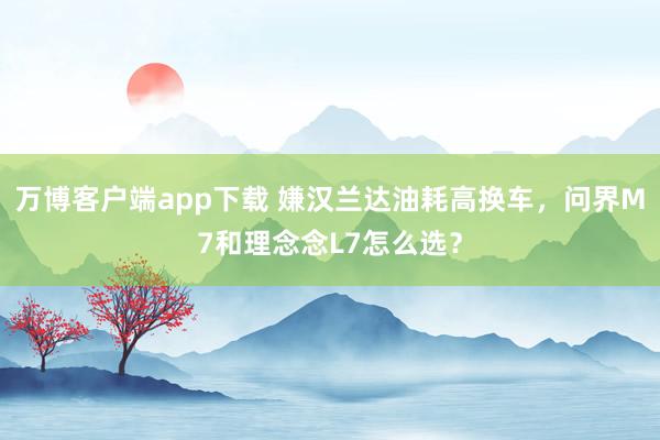 万博客户端app下载 嫌汉兰达油耗高换车，问界M7和理念念L7怎么选？