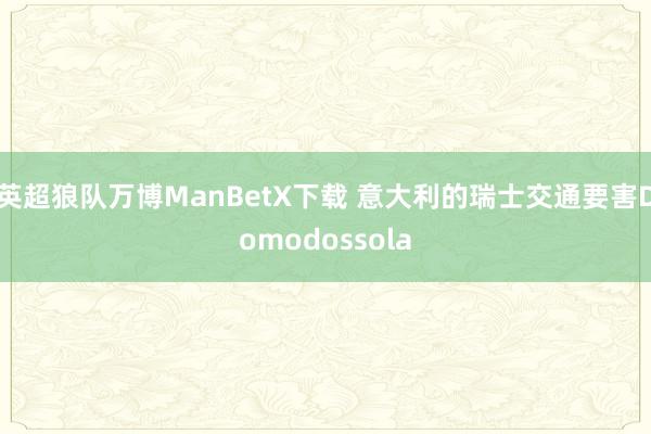 英超狼队万博ManBetX下载 意大利的瑞士交通要害Domodossola