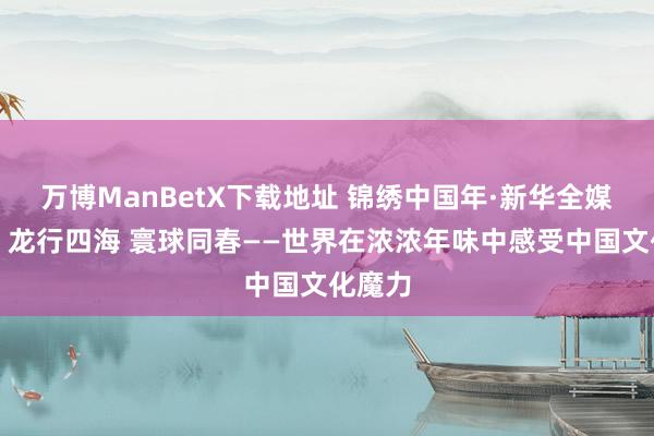 万博ManBetX下载地址 锦绣中国年·新华全媒头条｜龙行四海 寰球同春——世界在浓浓年味中感受中国文化魔力