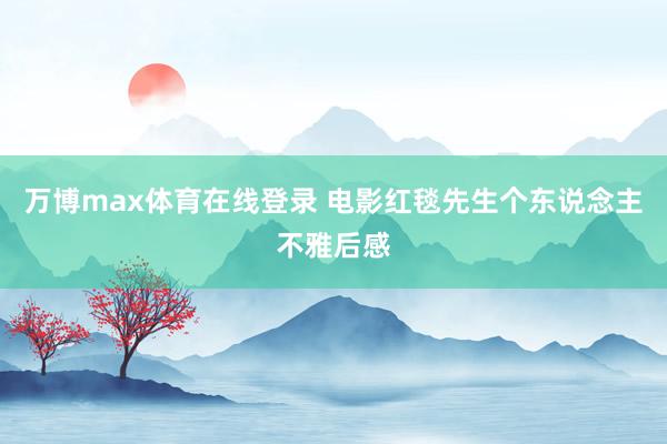 万博max体育在线登录 电影红毯先生个东说念主不雅后感