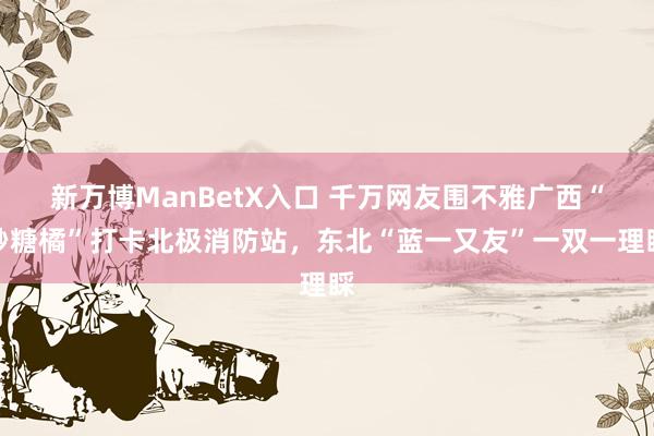 新万博ManBetX入口 千万网友围不雅广西“砂糖橘”打卡北极消防站，东北“蓝一又友”一双一理睬