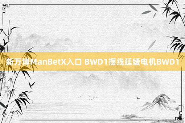 新万博ManBetX入口 BWD1摆线延缓电机BWD1