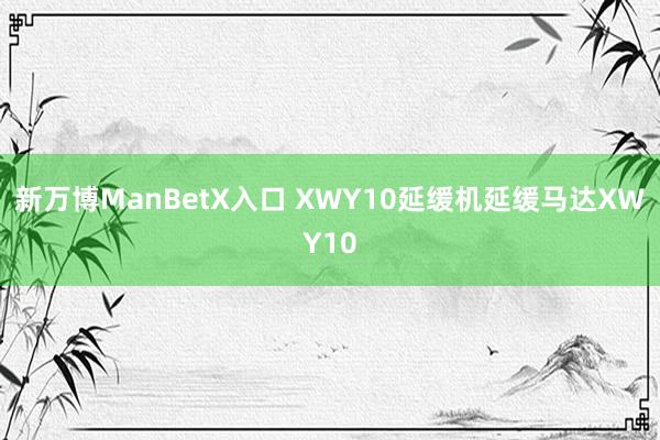 新万博ManBetX入口 XWY10延缓机延缓马达XWY10