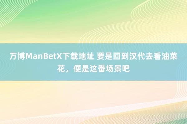 万博ManBetX下载地址 要是回到汉代去看油菜花，便是这番场景吧