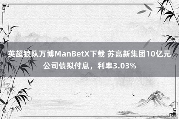 英超狼队万博ManBetX下载 苏高新集团10亿元公司债拟付息，利率3.03%