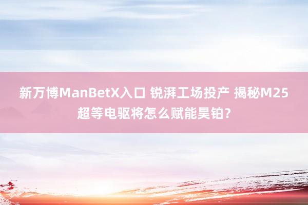 新万博ManBetX入口 锐湃工场投产 揭秘M25超等电驱将怎么赋能昊铂？