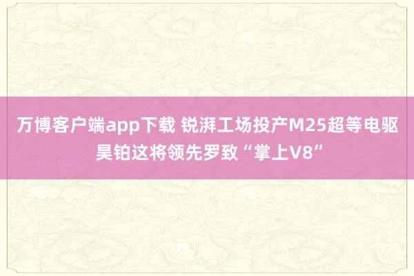 万博客户端app下载 锐湃工场投产M25超等电驱 昊铂这将领先罗致“掌上V8”