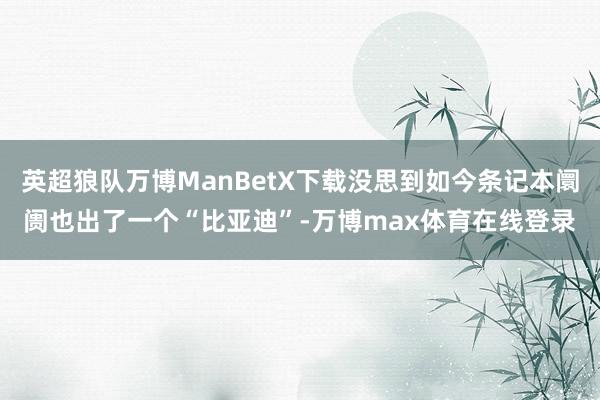 英超狼队万博ManBetX下载没思到如今条记本阛阓也出了一个“比亚迪”-万博max体育在线登录