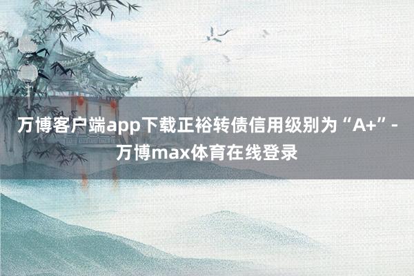 万博客户端app下载正裕转债信用级别为“A+”-万博max体育在线登录