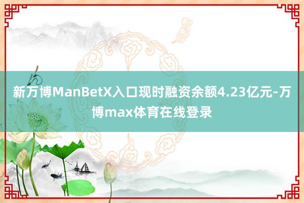 新万博ManBetX入口现时融资余额4.23亿元-万博max体育在线登录