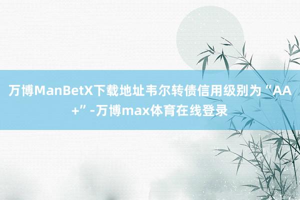 万博ManBetX下载地址韦尔转债信用级别为“AA+”-万博max体育在线登录