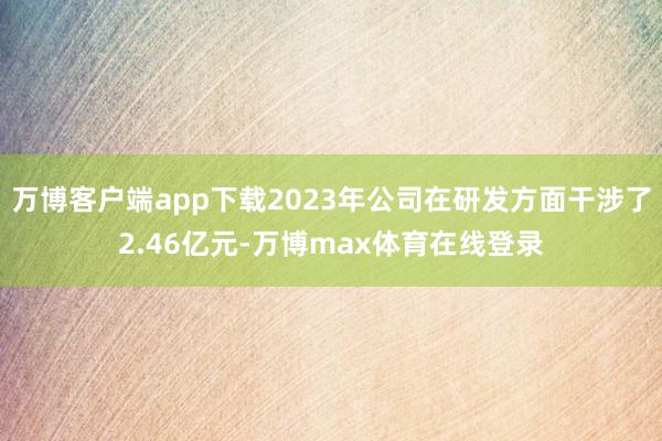 万博客户端app下载2023年公司在研发方面干涉了2.46亿元-万博max体育在线登录