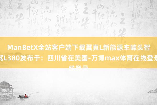 ManBetX全站客户端下载翼真L新能源车噱头智驾L380发布于：四川省在美国-万博max体育在线登录