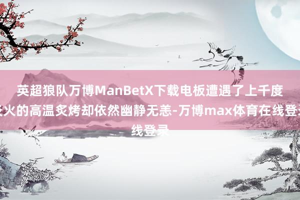 英超狼队万博ManBetX下载电板遭遇了上千度炎火的高温炙烤却依然幽静无恙-万博max体育在线登录